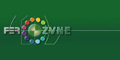 Logo-Ferozv